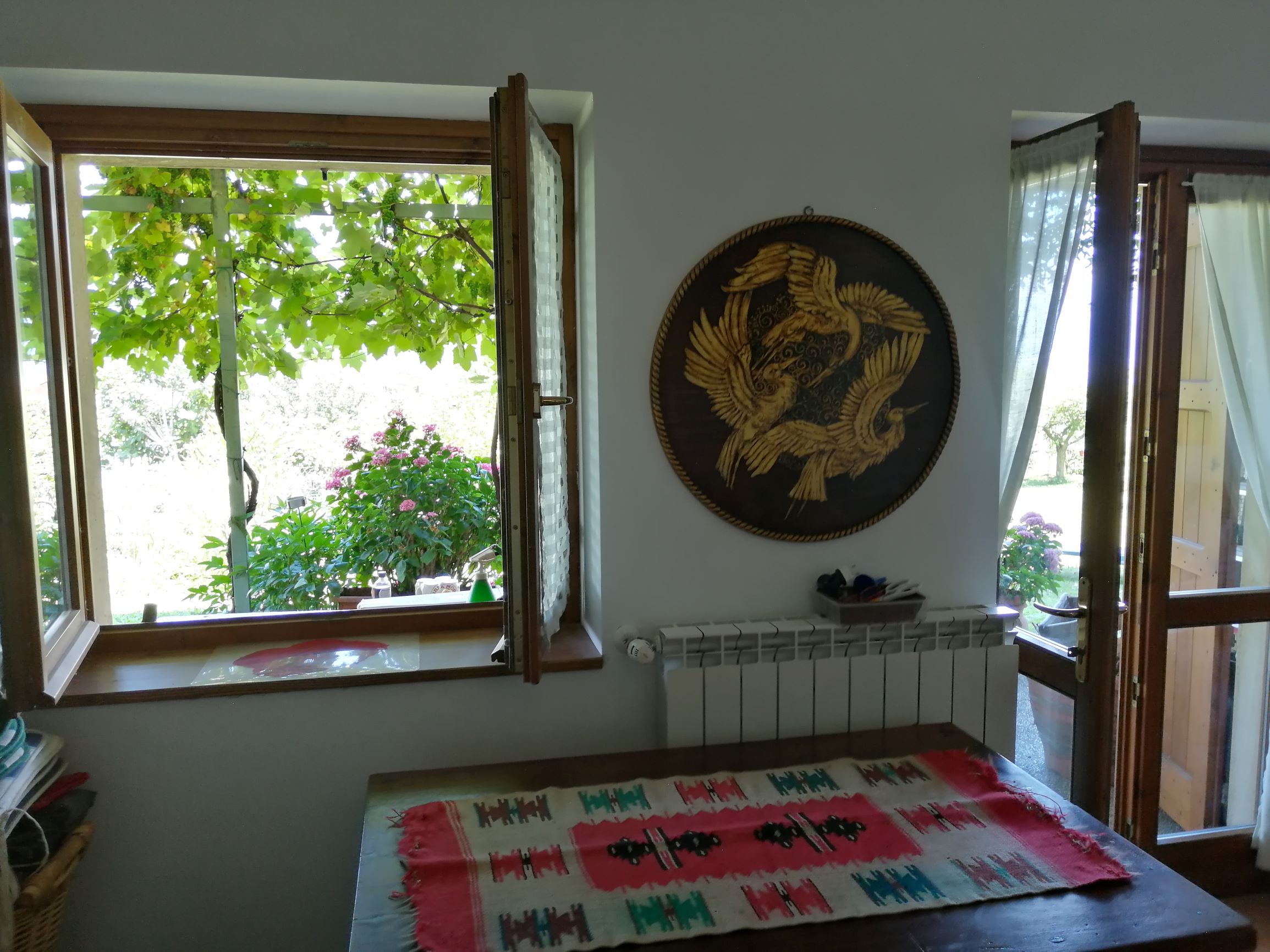 Foto29